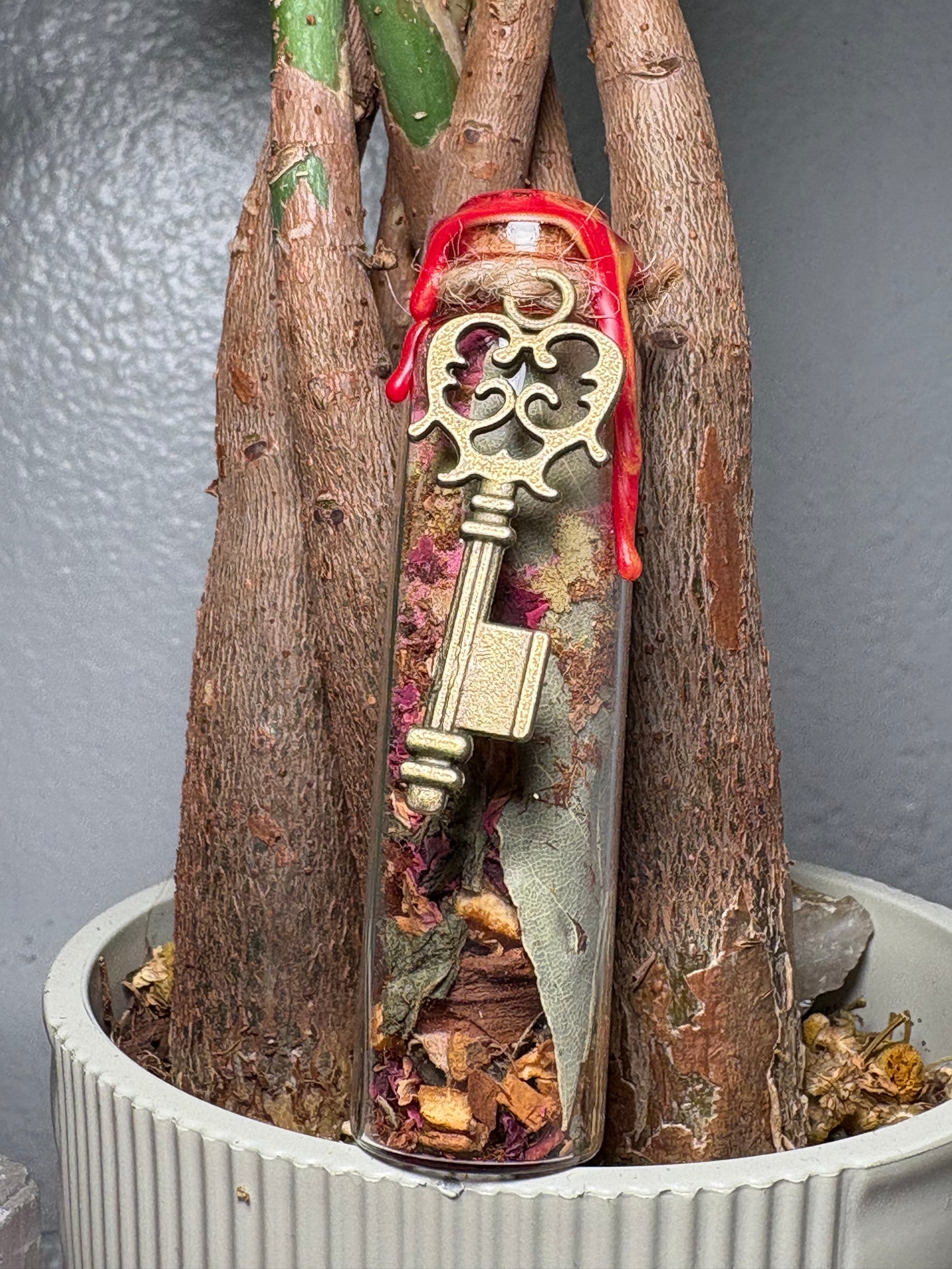 Jezebel Seduction Spell Jar